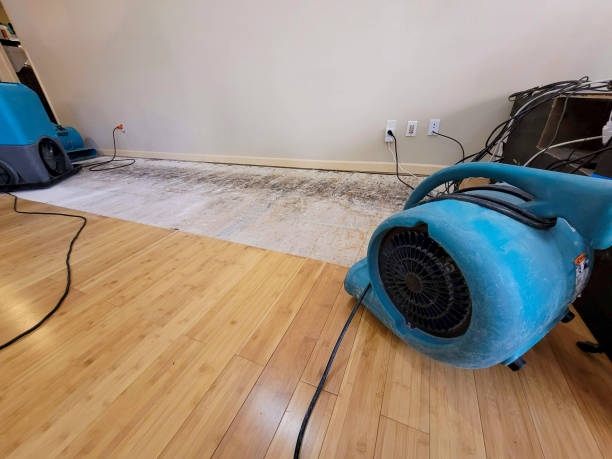 Reliable Basement Flood Cleanup contractor in Clover, SC by Hirex Water Damage
