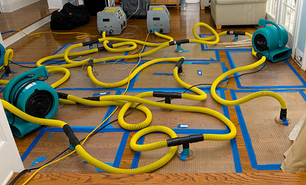 Professional Basement Flood Cleanup technician working in Clover, SC